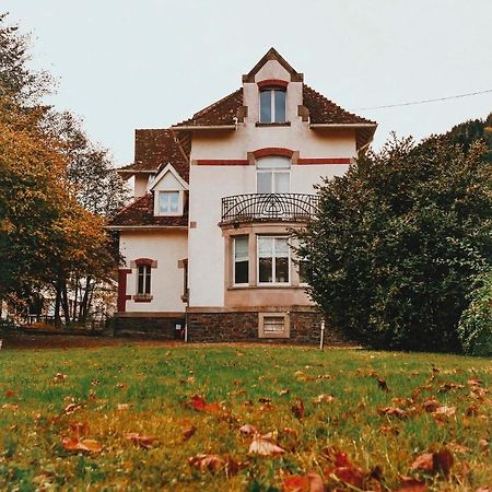 La Maison Du Markstein Linthal Esterno foto